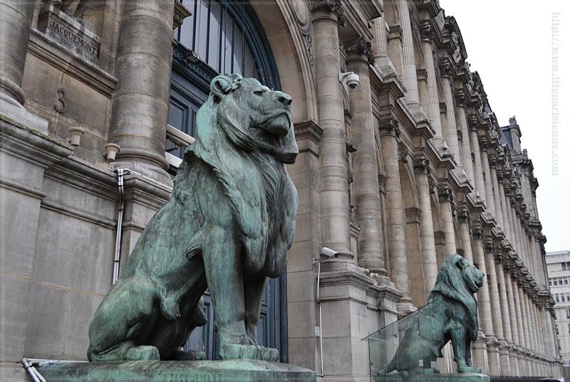 Les lions de l'Hôtel de Ville de Paris