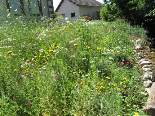 Culture conventionnelle, bio, naturelle, permaculture, comment s'y retrouver ?   