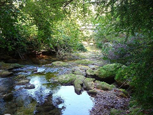 MONTAUROUX : les jardins du Mandarin & les bords de la Siagne