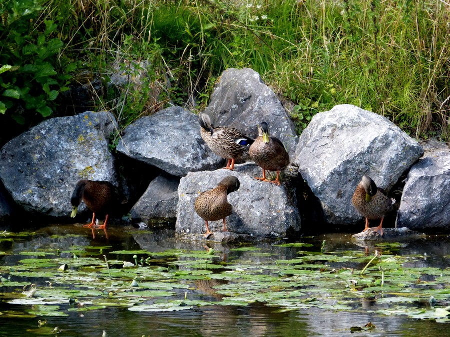 Ce fut un beau dimanche ensoleillé