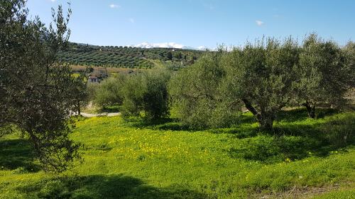 Le monastère de PALIANI