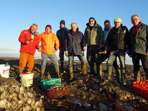 Pèches aux huitres 2017...