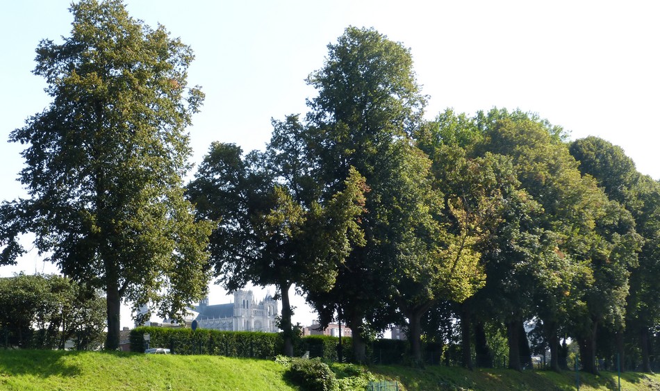 Toujours vers l'Ouest