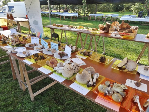 La fête de l'Automne à Leuglay...