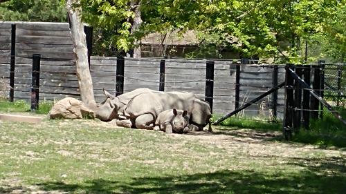 Epic spring weekend in Toronto