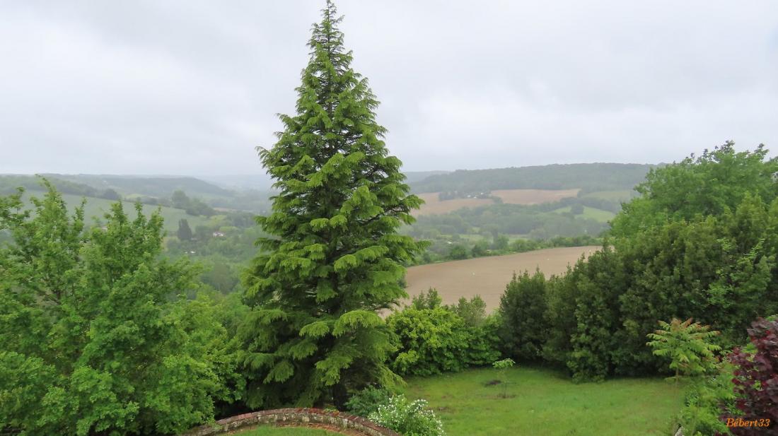 une pause à Puylaurens