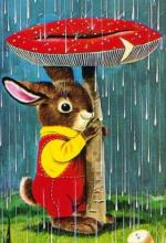 Dimanche sous la pluie