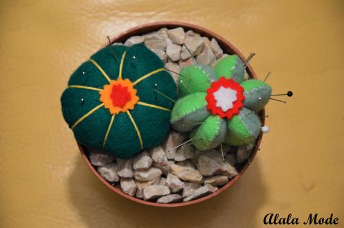 Le monde entier est un cactus