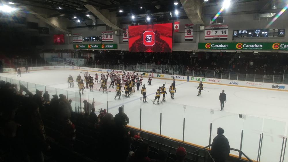 Brantford Bulldogs versus Ottawa 67's at TD Place on November 17th 2024