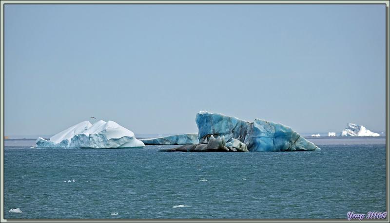 En attendant mon débarquement, je capture en image les plus beaux "glaçons" qui défilent - Devon Island - Nunavut - Canada