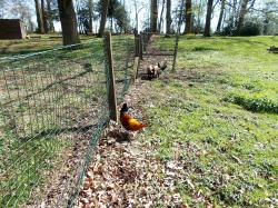  * Au Domaine de Bourgogne