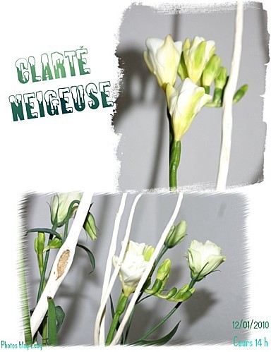 01 12 01 2010 clarté neigeuse 1