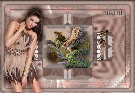 Traduções em português