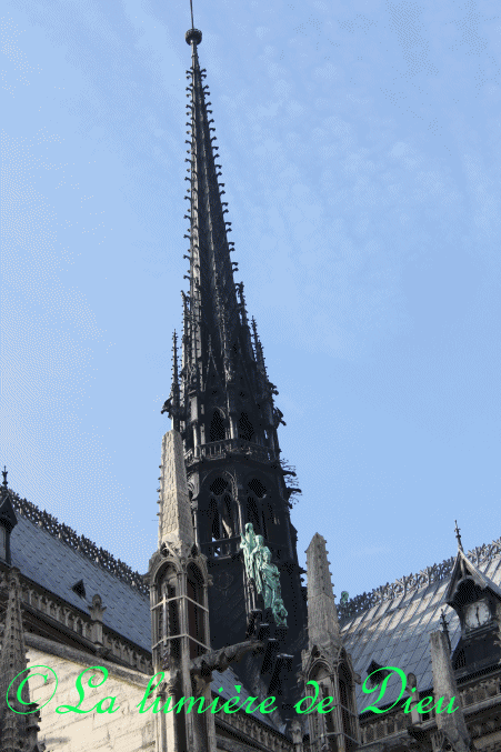 La cathédrale Notre-Dame de Paris
