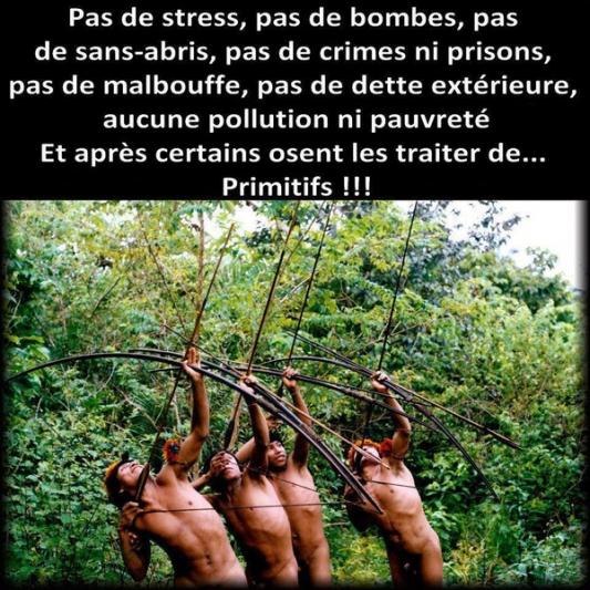 Nos Arbres.