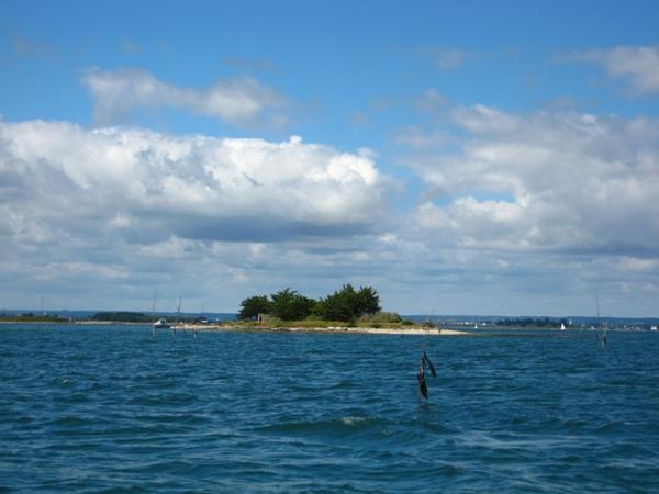 iluric_3739.jpg