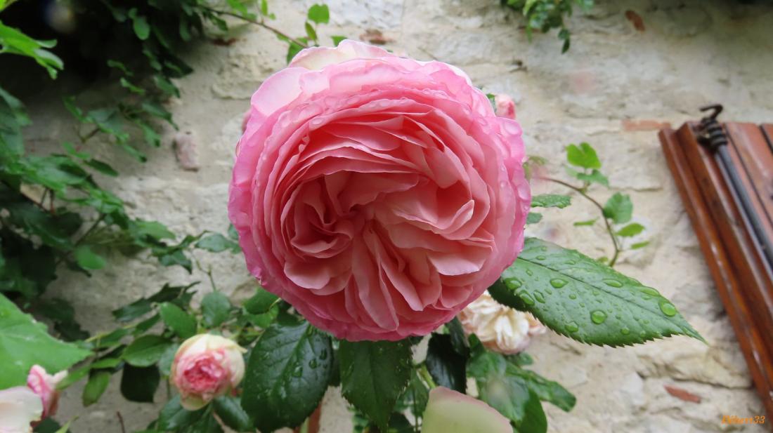 une pause à Puylaurens