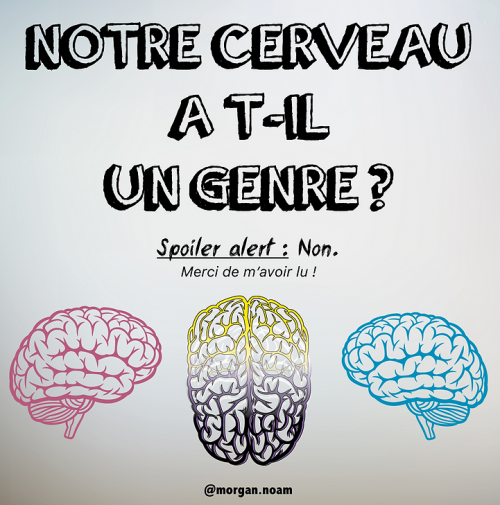 Un "psychopraticien intégratif" ?