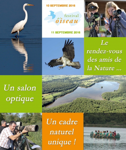 Festival de l’oiseau, à Virelles (B)