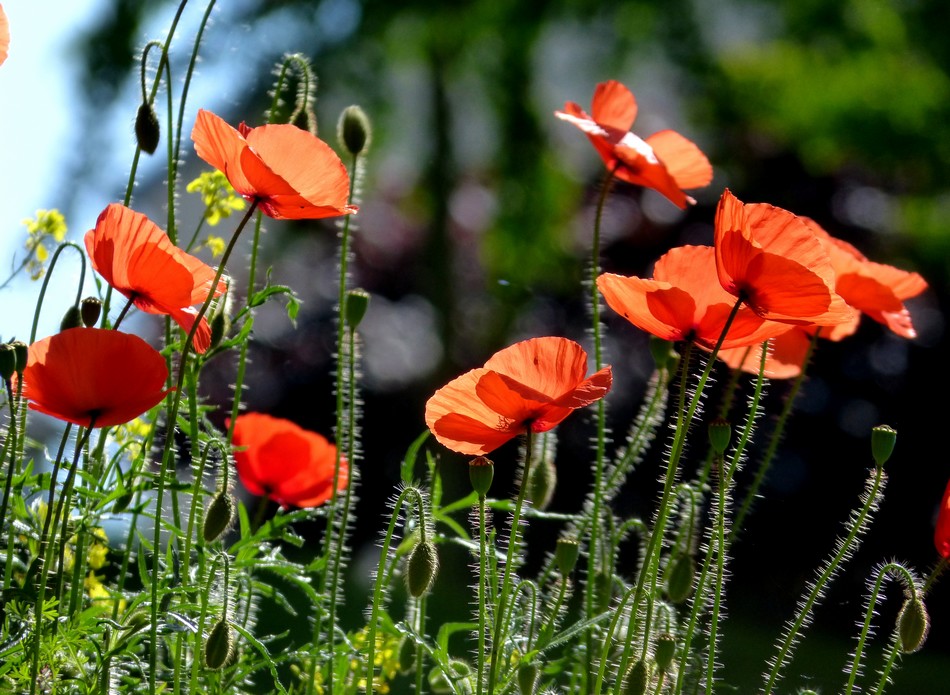 Entre deux coups de fil ...