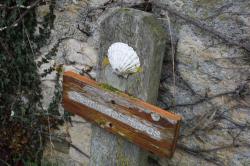 La randonnée du 19 décembre à Avenay