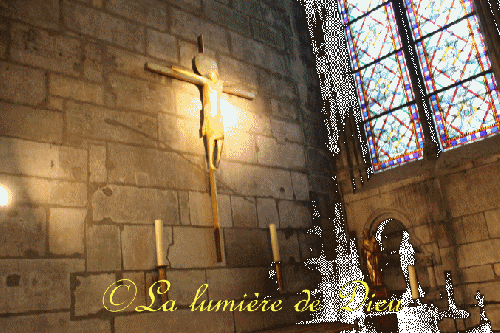 La cathédrale Notre-Dame de Paris