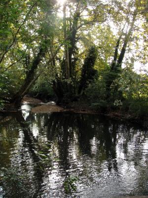 CR / Rando 12 / GRADIGNAN - Parc Tannerie à Mandavit