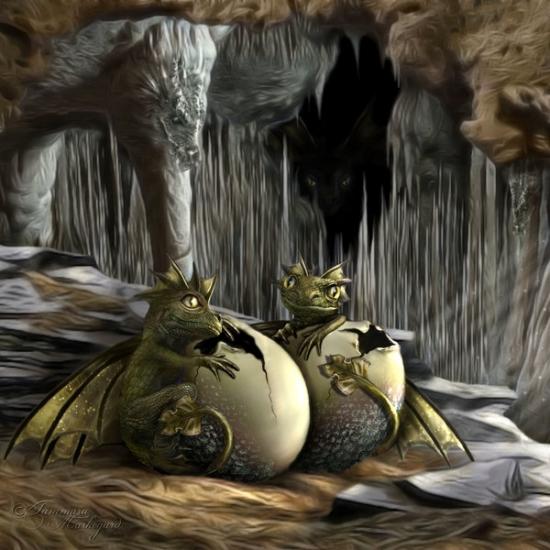 dragon_hatchlings_by_tammara-d37jzn7
