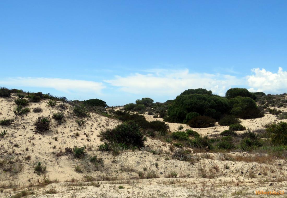 Comporta au Portugal