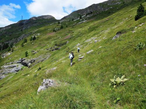 26/07/2017 La Revirette Tignes Alpes Grées Savoie 73 France