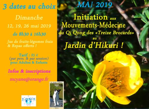 3 dimanche  "Qi Qong des "13 Brocards"