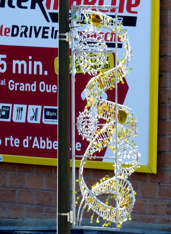 Quelques insolites ...