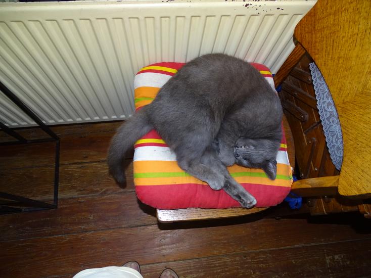 Dimanche au calme