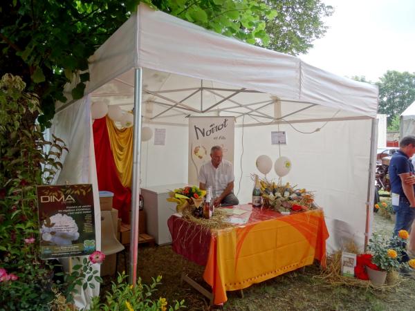 Les journées Châtillonnaises : producteurs locaux, associations, commerces, spectacles...