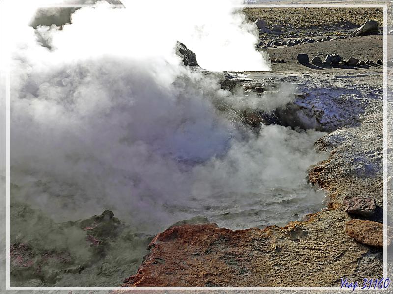 19/03/2022 : un des sites d'observation des geysers d'El Tatio - Désert d'Atacama - Chili