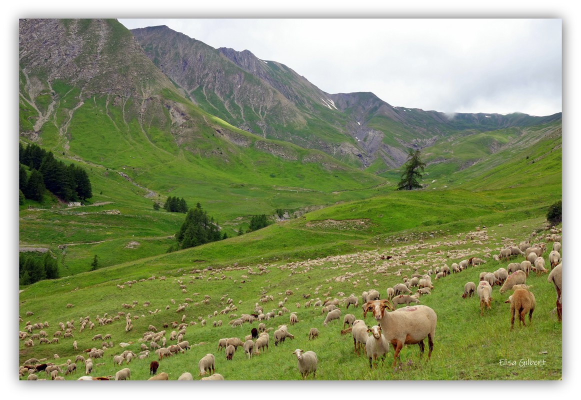 De Praloup à Allos