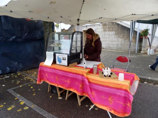 La fête de la pomme 2014 à Laignes