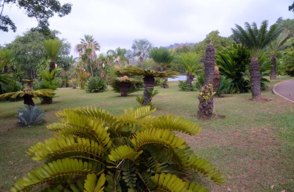 Circuit en étoile à Madère : Funchal, son marché et son jardin botanique
