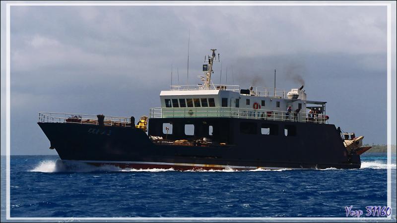 Rencontre avec le Cobia 3, le cargo d'approvisionnement des certaines îles polynésiennes dont l'atoll Fakarava - Polynésie française