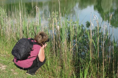 Le Club-Photo en balade au plan d'eau de Riel-les-Eaux...