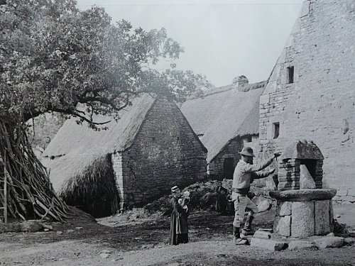 limg-1863373688.jpg