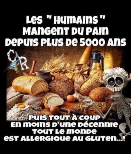 Un coup d'oeil sur notre belle France qui s'enfonce dans le Grand Remplacement.