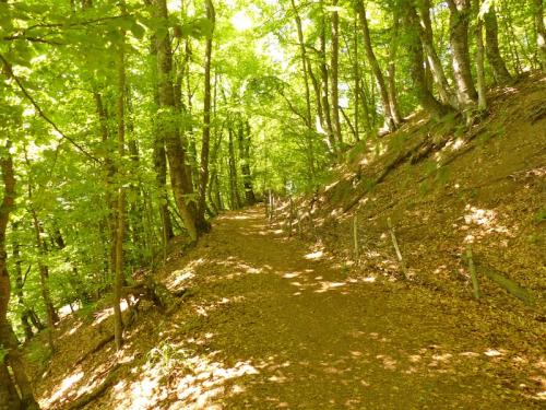 Canal de Malcros (Chaillol)