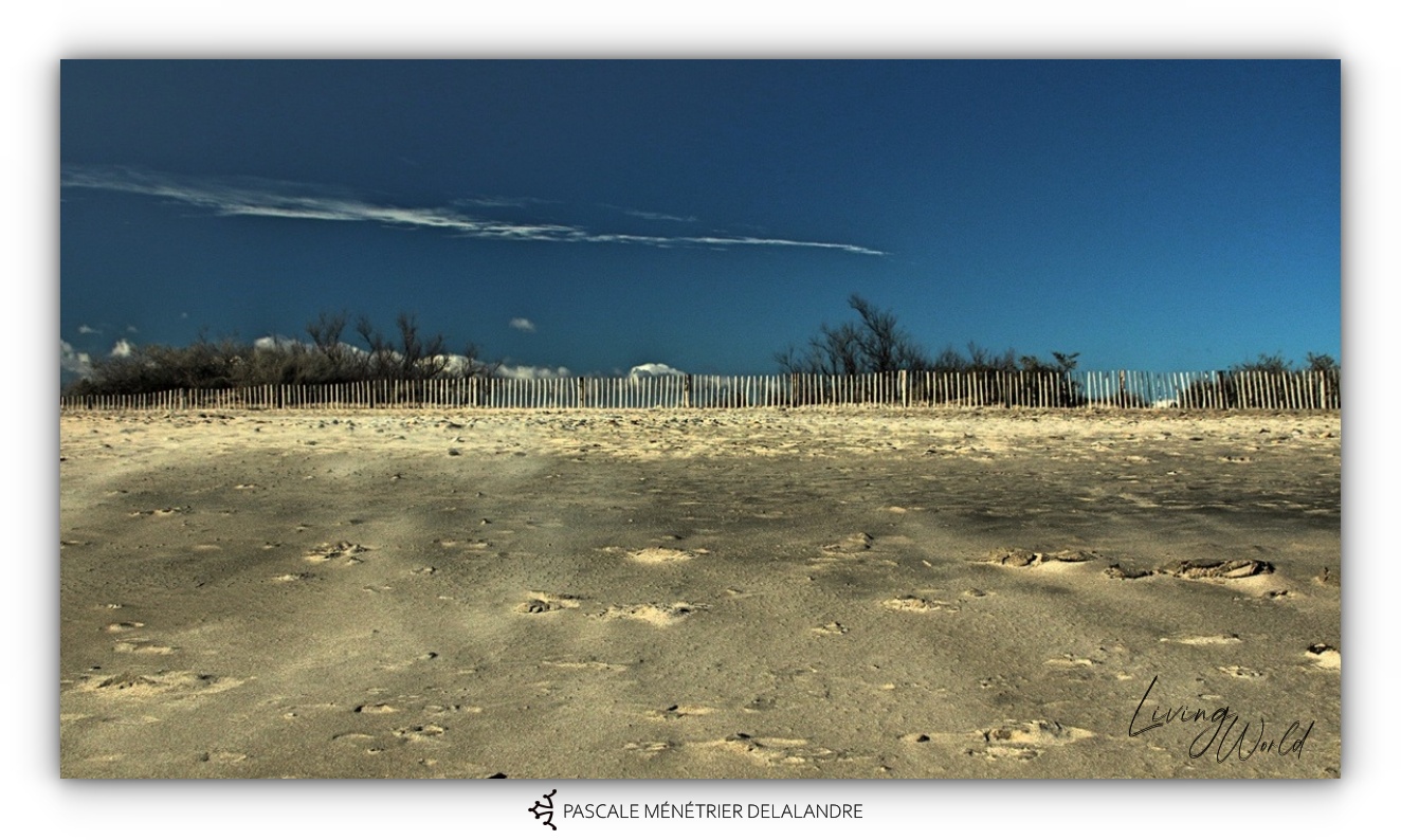 Plage de Villeneuve-lès-Maguelone