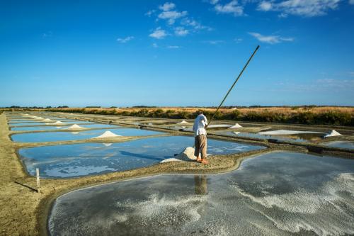 Ile de Noirmoutier  'Vendée)