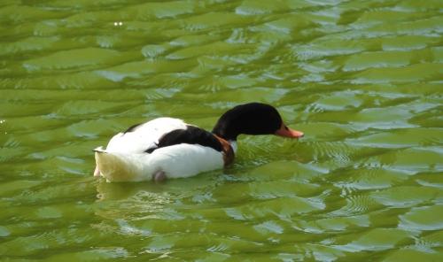 ... un petit coin coin tranquille...