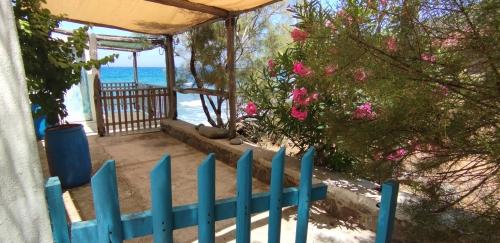 Les chemins de traverse 1/2