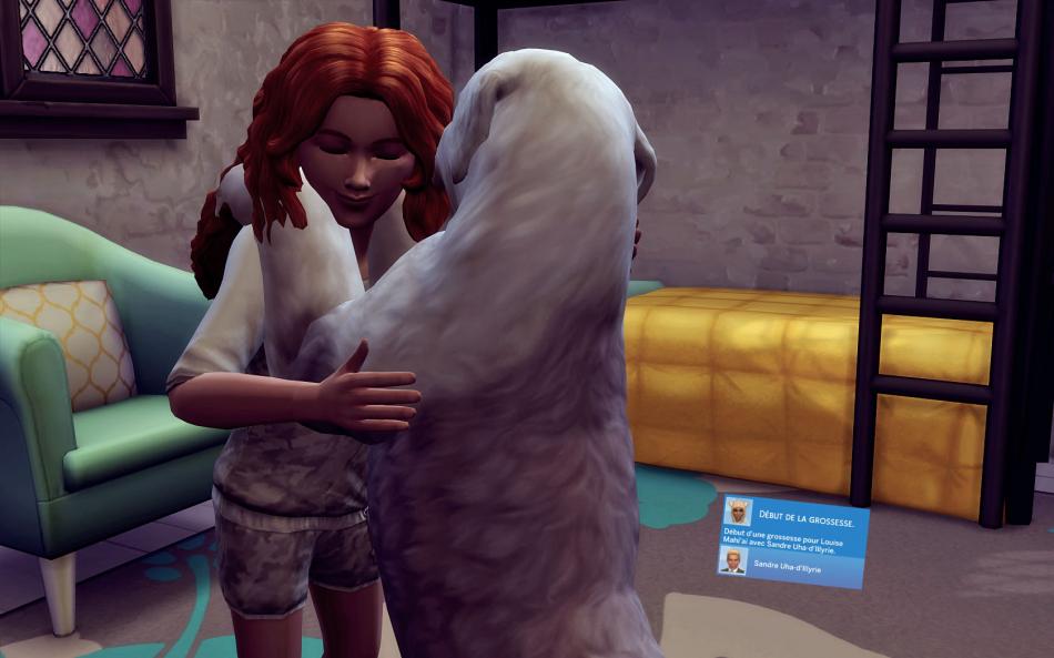 [CALF] Huver 3 - Semaine 15 - Jours 104 à 107