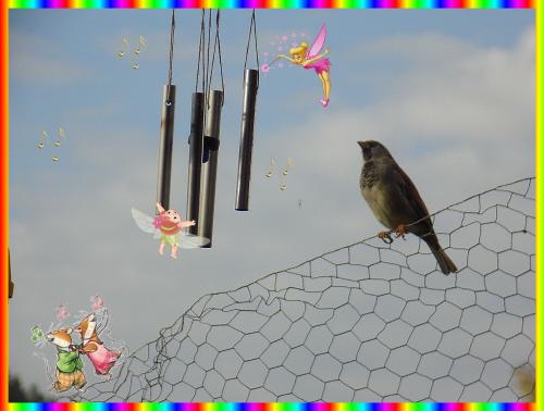 Laissons notre imagination vagabonder