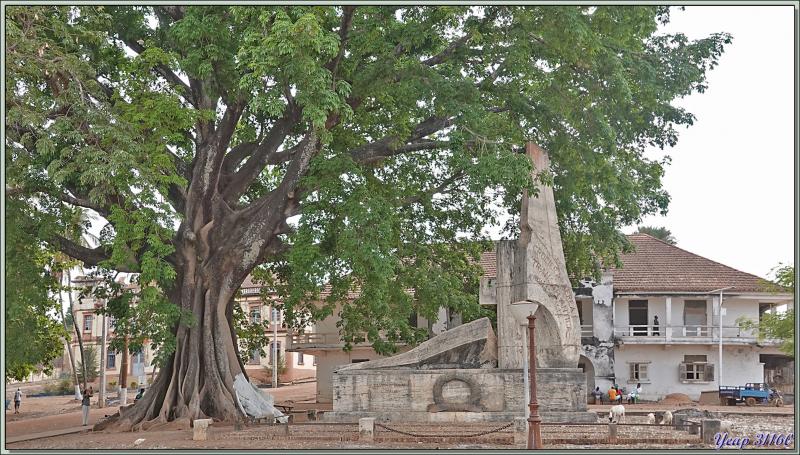 Errance dans les rues surchauffées de Bolama - Ile de Bolama - Bijagos - Guinée Bissau